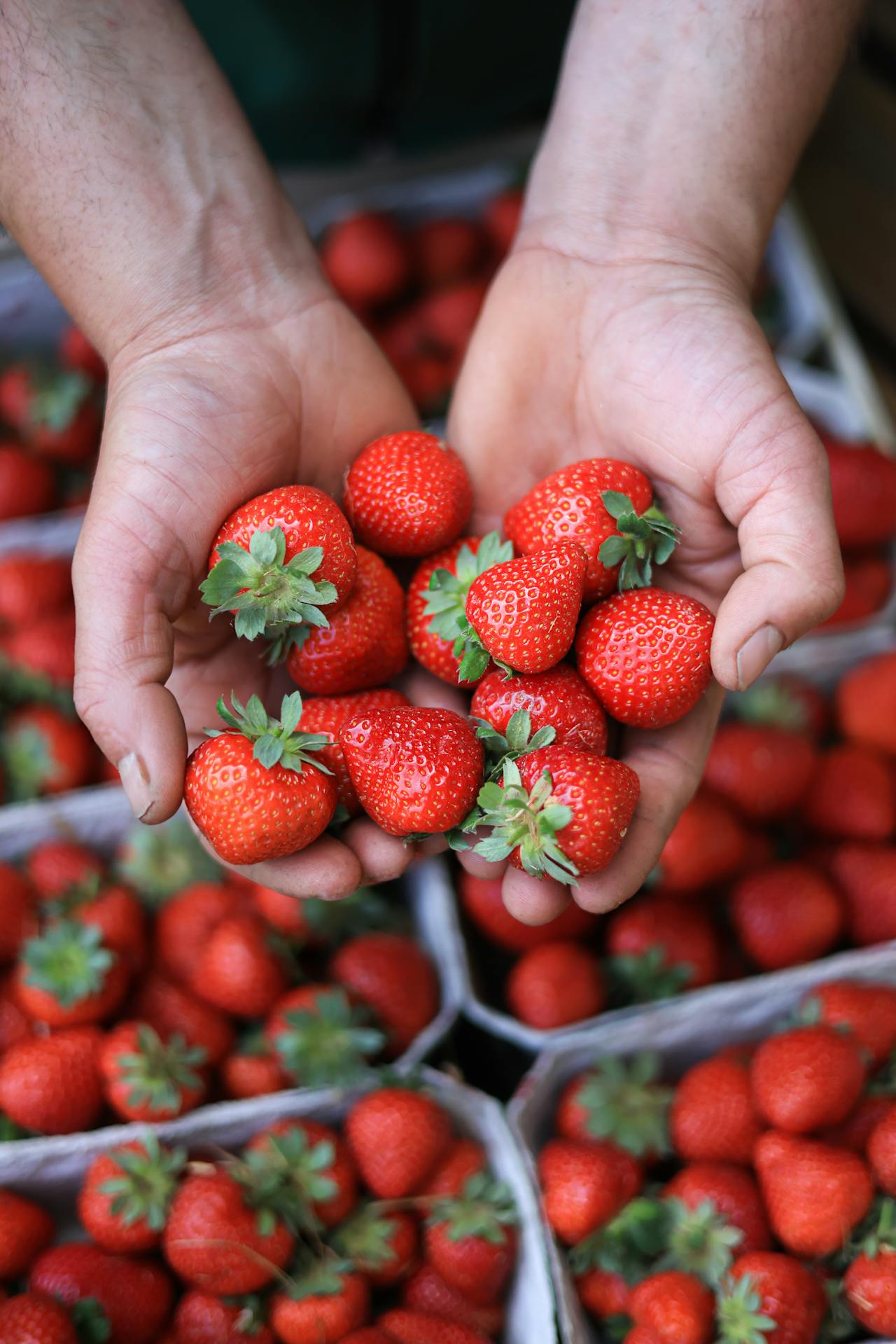 Handing strawberries